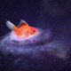 Image for article titled Researchers Discover Galaxy-Sized Goldfish Astronauts Discarded From Space Shuttle In 1988